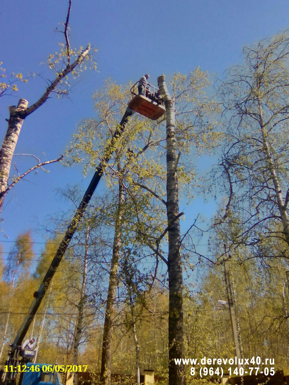 Удаление спил деревьев и расчиска участка от кустарников деревьев  насождений в Обнинске строительная компания Обнинск Малояровлавец  Балабаново Белоусово Боровск